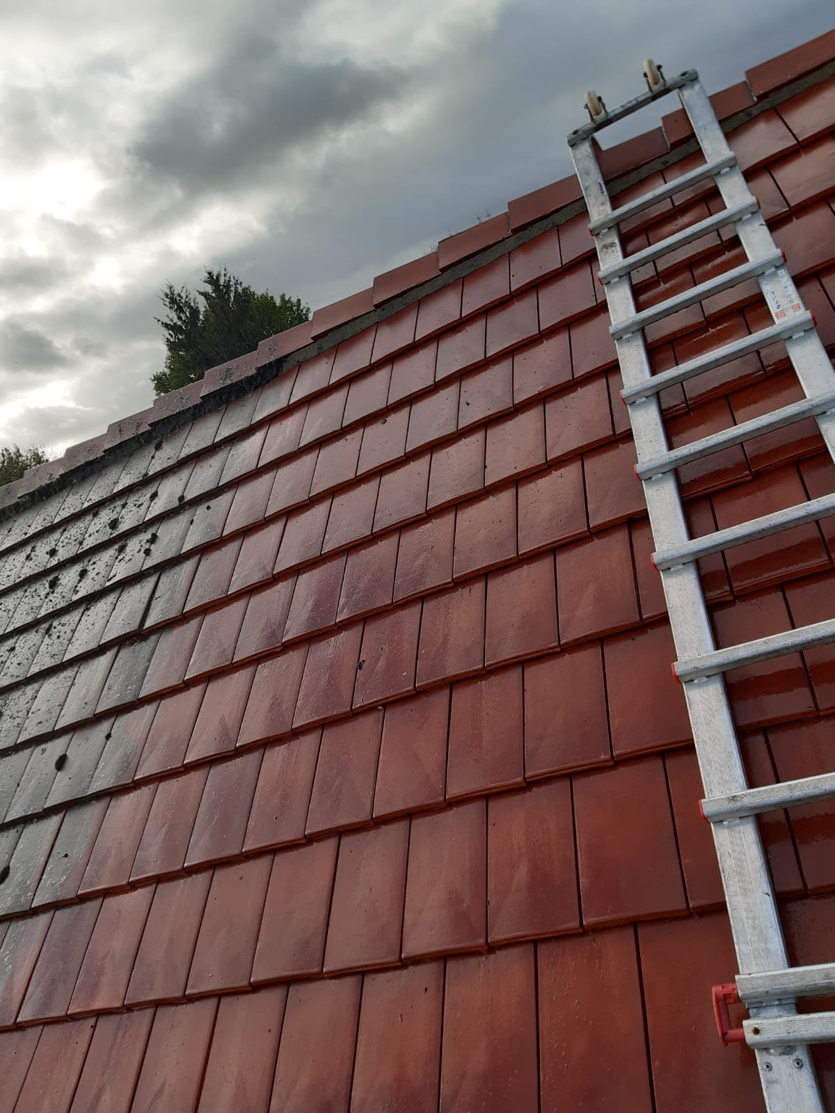 Travaux de demoussage à Montesson dans les Yvelines (78)