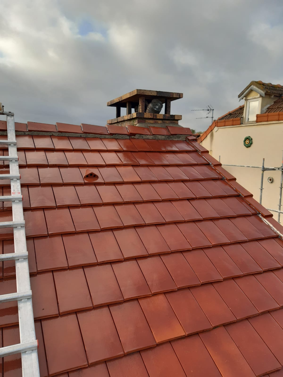 Travaux de demoussage à Montesson dans les Yvelines (78)